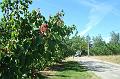 2011-05- (1081)